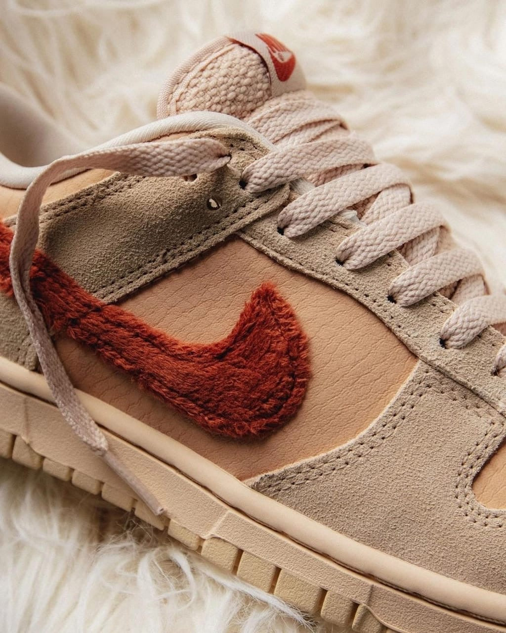 Nike Dunk Low " Terry Swoosh"