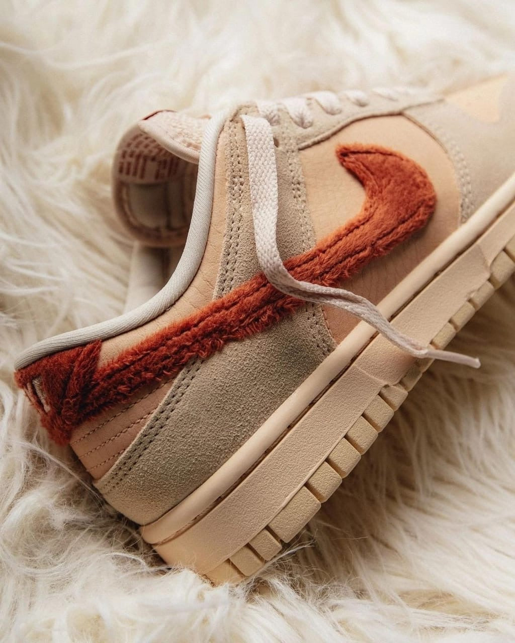 Nike Dunk Low " Terry Swoosh"