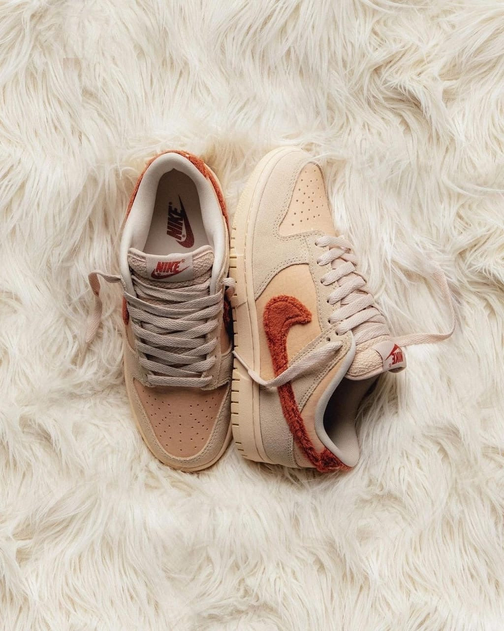 Nike Dunk Low " Terry Swoosh"