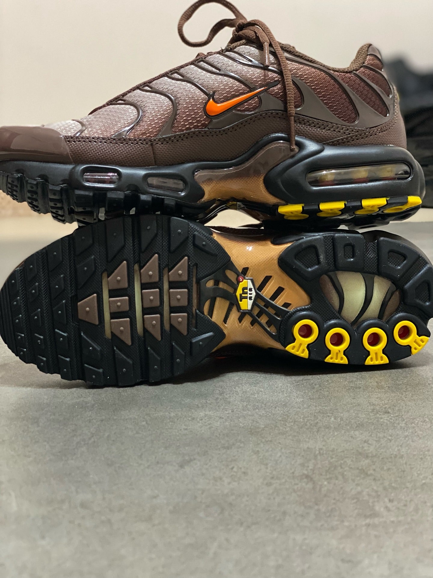 Nike Air Max Plus TN " Brown / Orange "